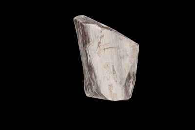 Lot 281 - PETRIFIED FOSSIL WOOD SPECIMEN