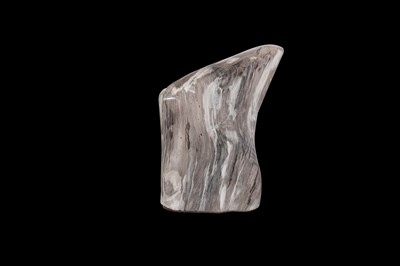 Lot 281 - PETRIFIED FOSSIL WOOD SPECIMEN