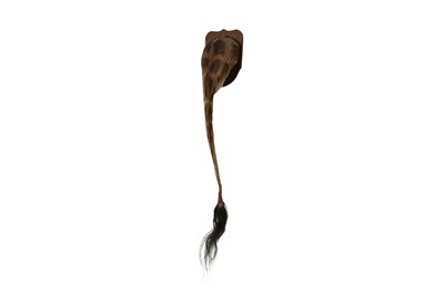 Lot 98 - A TAXIDERMY GIRAFFE TAIL BY SIMON 'THE STUFFA' WILSON