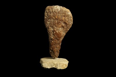 Lot 287 - A PIECE OF FOSSILIZED CORAL MOUNTED ON LIMESTONE