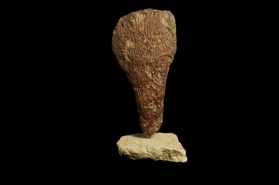 Lot 287 - A PIECE OF FOSSILIZED CORAL MOUNTED ON LIMESTONE