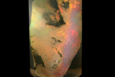 Lot 267 - A RARE OPALISED WOOD FOSSIL