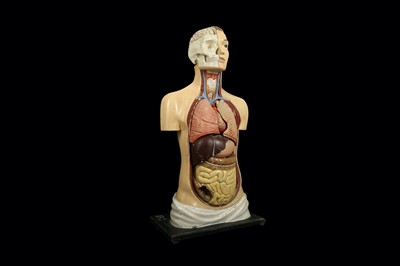 Lot 127 - A 1940'S-50'S MALE ANATOMICAL MODEL