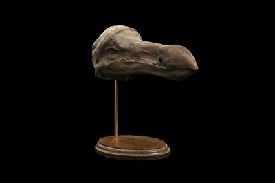 Lot 105 - A CAST OF A DODO HEAD