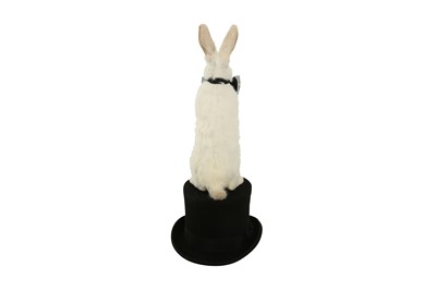 Lot 228 - TAXIDERMY: WHITE RABBIT WEARING BOW TIE ON TOP HAT