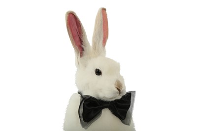Lot 228 - TAXIDERMY: WHITE RABBIT WEARING BOW TIE ON TOP HAT