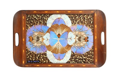 Lot 233 - TAXIDERMY/ ENTOMOLOGY :BUTTERFLY WINGS TRAY, EARLY-MID 20TH CENTURY