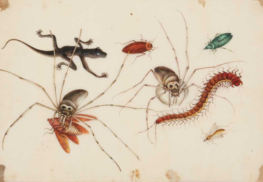 Lot 424 - A CHINESE ALBUM OF SIX PITH PAPER PAINTINGS