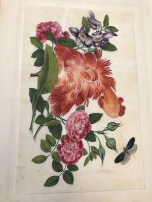 Lot 425 - A CHINESE ALBUM OF EIGHTEEN PITH PAPER PAINTINGS OF FLOWERS.