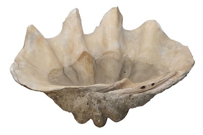 Lot 271 - TWO LARGE GIANT CLAM SHELLS (TRIDACNA GIGAS)