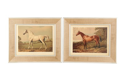 Lot 1165 - A COLLECTION OF TWELVE LITHOGRAPHIC PRINTS OF HORSES, LATE 19TH/EARLY 20TH CENTURY