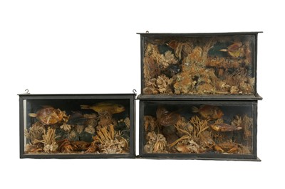 Lot 255 - DIORAMA: A SET OF THREE VICTORIAN STYLE DIORAMA’S, POSSIBLY LATE 19TH/EARLY 20TH CENTURY AND LATER