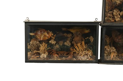 Lot 255 - DIORAMA: A SET OF THREE VICTORIAN STYLE DIORAMA’S, POSSIBLY LATE 19TH/EARLY 20TH CENTURY AND LATER