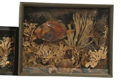 Lot 257 - DIORAMA: A PAIR OF MINIATURE VICTORIAN STYLE SEASCAPE DIORAMAS, MID 20TH CENTURY