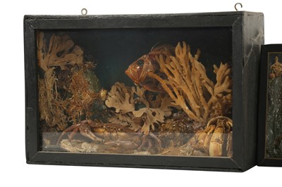 Lot 257 - DIORAMA: A PAIR OF MINIATURE VICTORIAN STYLE SEASCAPE DIORAMAS, MID 20TH CENTURY