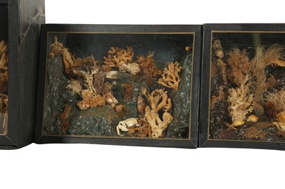 Lot 257 - DIORAMA: A PAIR OF MINIATURE VICTORIAN STYLE SEASCAPE DIORAMAS, MID 20TH CENTURY