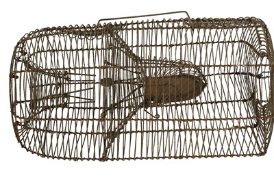 Lot 243 - KITCHENALIA: A WIRE WORK BASKET FORM RAT TRAP, LATE 19TH/EARLY 20TH CENTURY