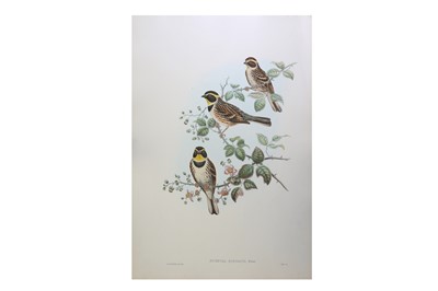 Lot 1581 - Gould (John) A collection of sixteen hand-coloured lithographs from 'The Birds of Asia', 1850-53