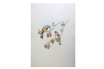 Lot 1581 - Gould (John) A collection of sixteen hand-coloured lithographs from 'The Birds of Asia', 1850-53