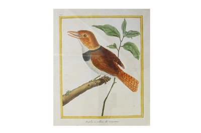 Lot 1585 - Natural History.- A collection of 87 prints