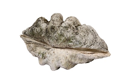 Lot 135 - A PAIR OF GIANT CLAM SHELLS (TRIDACNA GIGAS)
