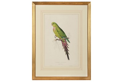 Lot 630 - Lear (Edward):A collection of five hand-coloured lithographs