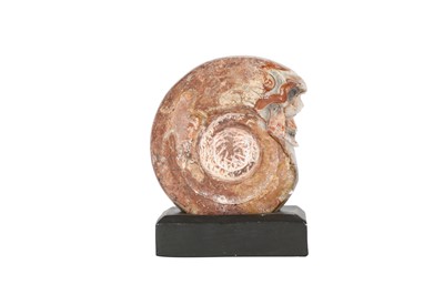 Lot 312 - A CARVED AND POLISHED TIMOR AMMONITE DEPICTING A HUMAN SKULL, 250 MILLION YEARS OLD