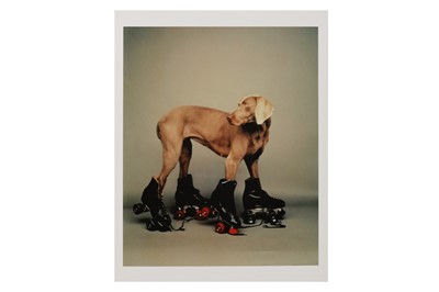 Lot 221 - William Wegman b.1943