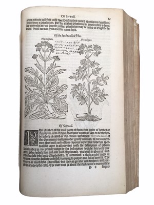 Lot 649 - Turner: Herbal of William Turner