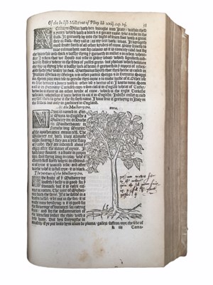 Lot 649 - Turner: Herbal of William Turner