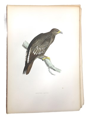 Lot 634 - Morris (F.O.): A History of British Birds