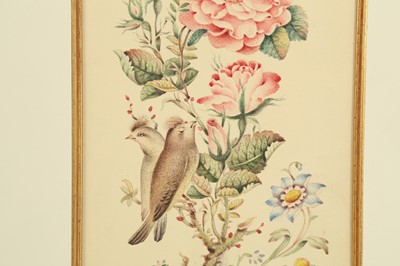 Lot 110 - TWO FLORAL STUDIES WITH THE GOL-O-BOLBOL MOTIF