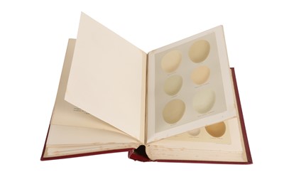 Lot 196 - A LEATHER BOUND BOOK 'COLOURED FIGURES OF THE EGGS OF BRITISH BIRDS' BY HENRY SEEBOHM