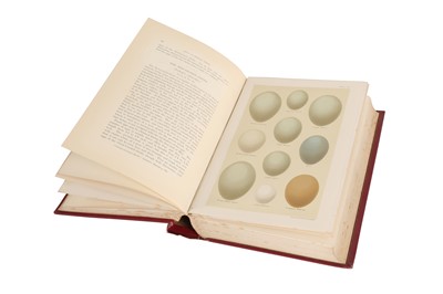 Lot 196 - A LEATHER BOUND BOOK 'COLOURED FIGURES OF THE EGGS OF BRITISH BIRDS' BY HENRY SEEBOHM