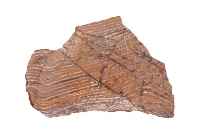 Lot 302 - A 3.4 BILLION YEARS OLD STROMATOLITE, ONE OF THE WORLD'S MOST ANCIENT FOSSILS