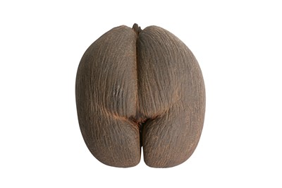 Lot 131 - AN EXCEPTIONAL COCO DE MER NUT, IN TACT AND WITH KERNEL