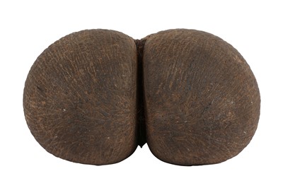 Lot 131 - AN EXCEPTIONAL COCO DE MER NUT, IN TACT AND WITH KERNEL