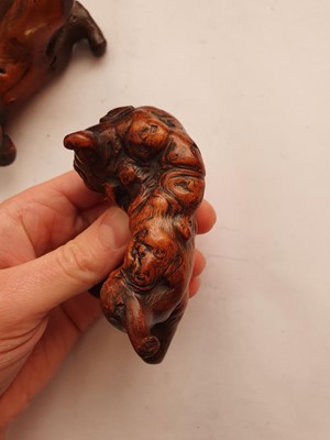 Lot 635 - A PAIR OF CHINESE BURLWOOD LIONS.