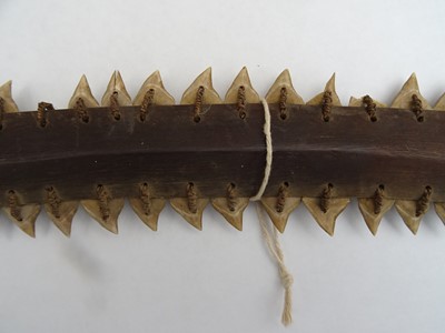 Lot 593 - A GILBERT ISLANDS TEBUTJE SHARK TOOTH SWORD