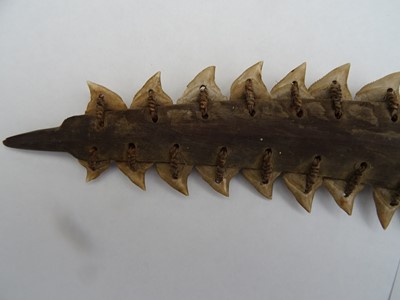 Lot 593 - A GILBERT ISLANDS TEBUTJE SHARK TOOTH SWORD