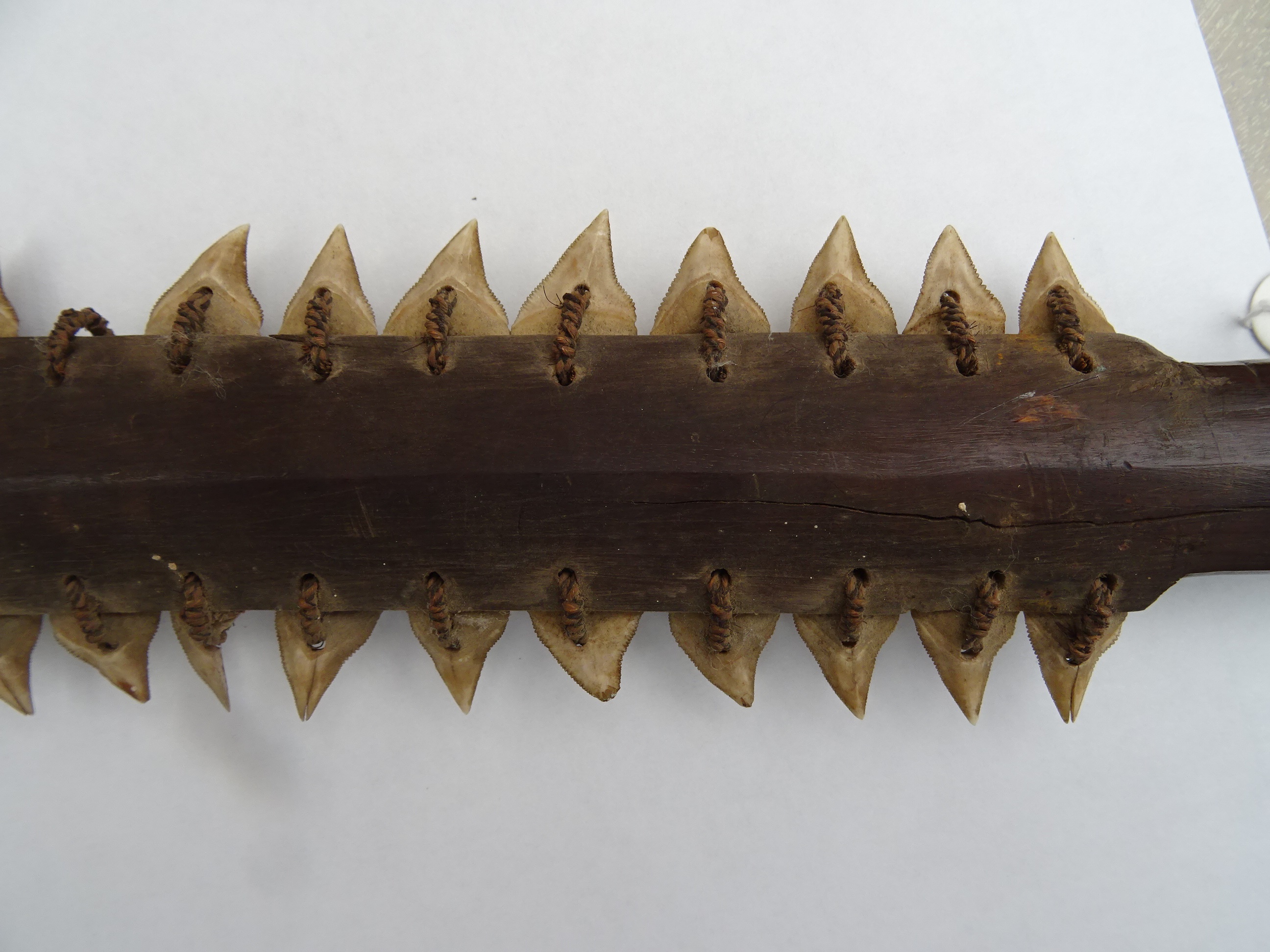 Lot 593 - A GILBERT ISLANDS TEBUTJE SHARK TOOTH SWORD