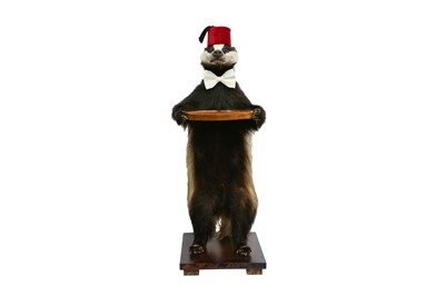 Lot 14 - TAXIDERMY: A BADGER (MELES MELES) WAITER WEARING A FEZ AND A BOW TIE