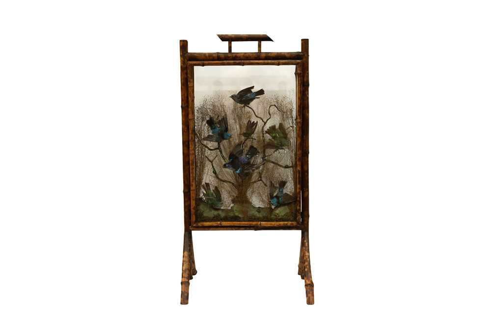 Lot 86 - A BAMBOO FIRESCREEN DISPLAY OF EXOTIC BIRDS AND BEETLES, IN THE MANNER OF ROWLAND WARD