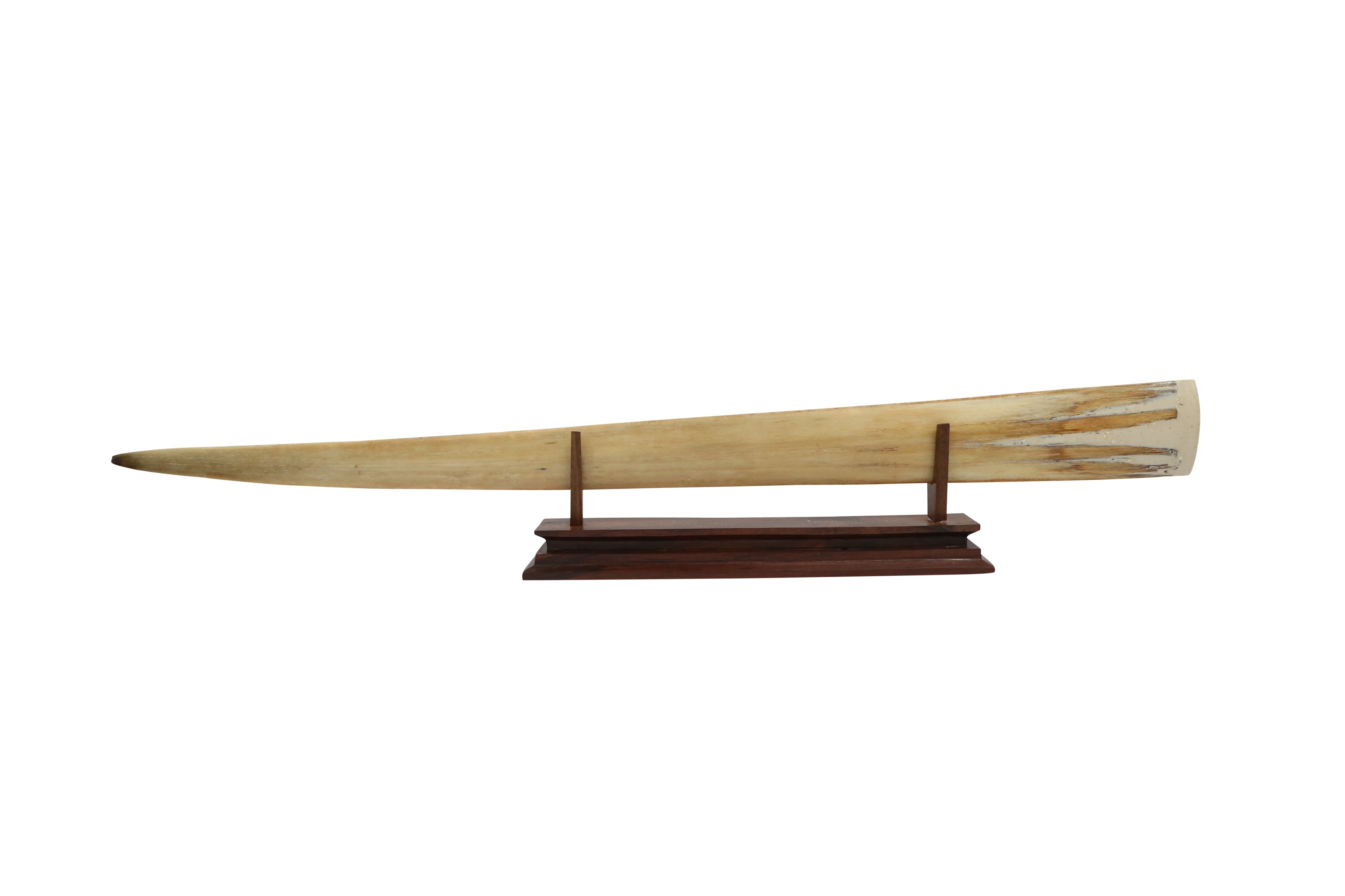 Lot 161 TAXIDERMY/ NATURAL HISTORY CARVED SWORDFISH