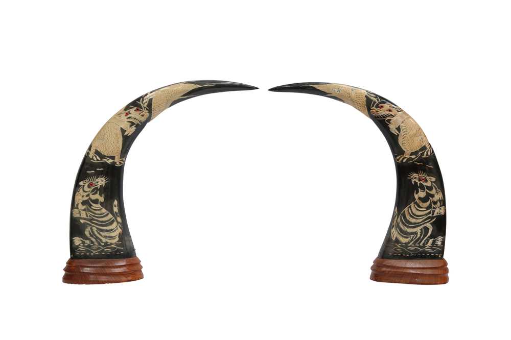 Lot 160 - TAXIDERMY/ NATURAL HISTORY: A PAIR OF POLISHED AND CARVED WATER BUFFALO HORNS