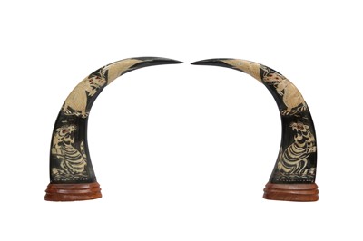 Lot 160 - TAXIDERMY/ NATURAL HISTORY: A PAIR OF POLISHED AND CARVED WATER BUFFALO HORNS