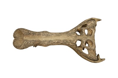 Lot 231 - NATURAL HISTORY: MODEL SARCOSUCHUS CROCODILE 'SUPERCROC' SKULL