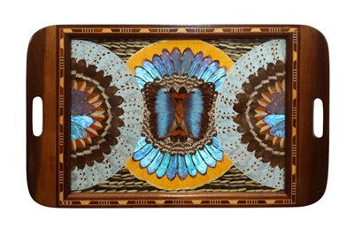 Lot 101 - TAXIDERMY/ ENTOMOLOGY: BUTTERFLY WINGS TRAY, EARLY-MID 20TH CENTURY
