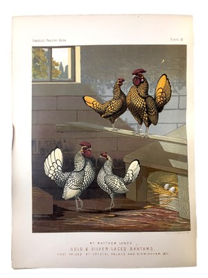 Lot 650 - Wright (Lewis): The Illustrated Book of Poultry