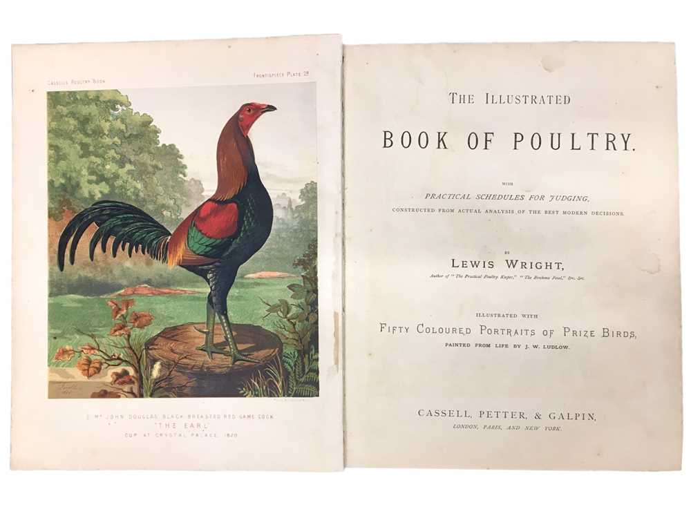 Lot 650 - Wright (Lewis): The Illustrated Book of Poultry